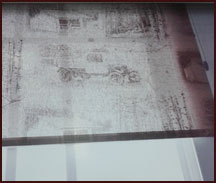 Roller de Tela y Gasa Natural