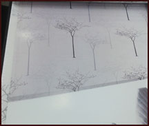 Roller de Tela y Gasa Natural