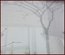 Roller de Tela y Gasa Natural